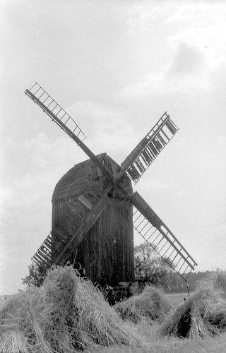 Mühle-1 passig